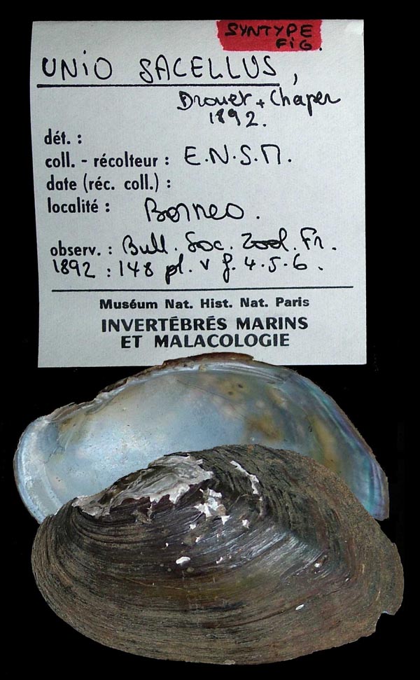 image of type lot image of type lot