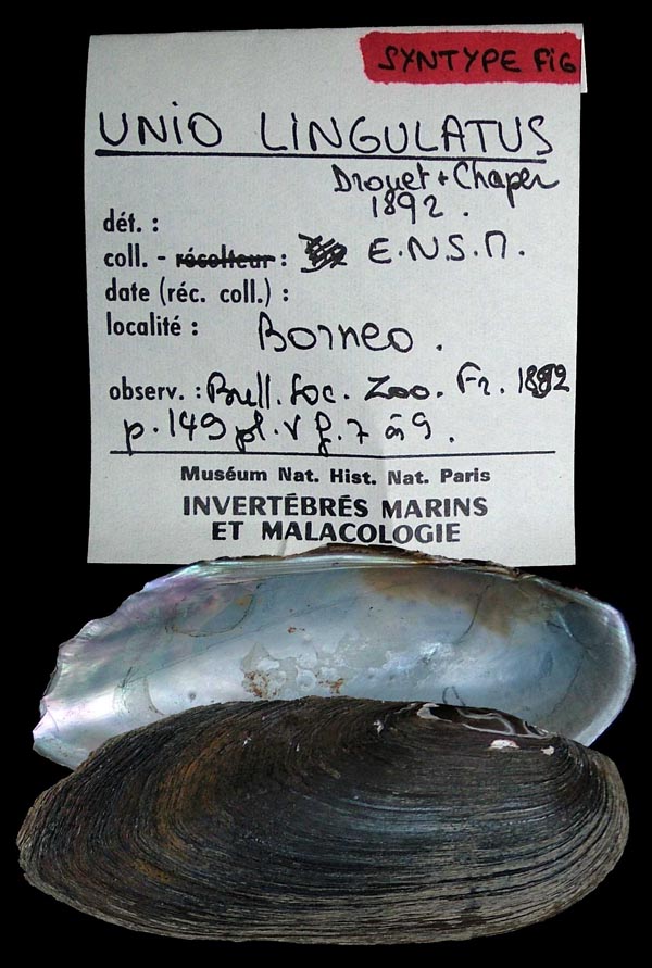 image of type lot image of type lot