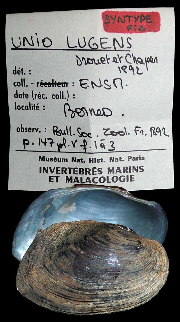 image of type lot image of type lot