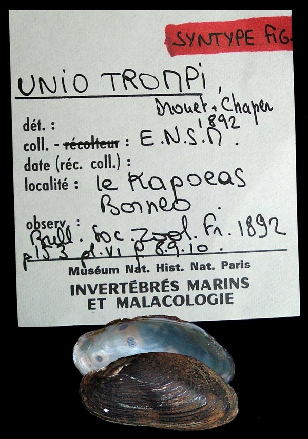 image of type lot image of type lot