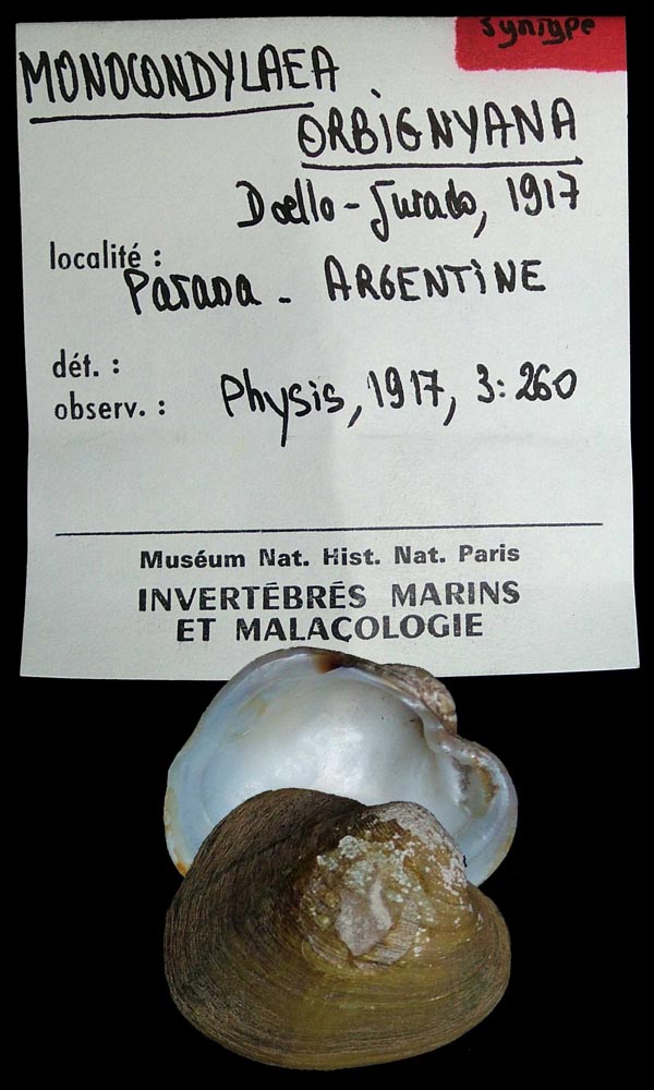 specimen