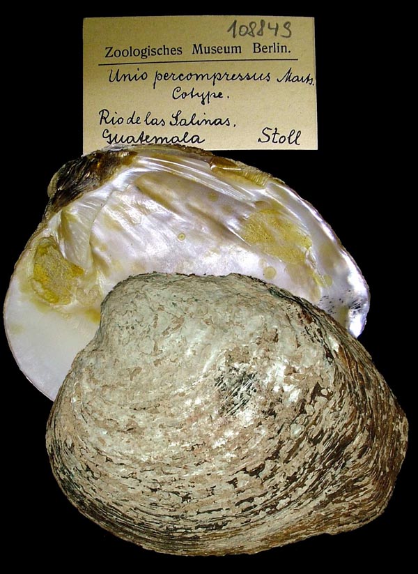 image of lot ZMB_108849