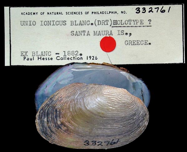 image of type lot image of type lot