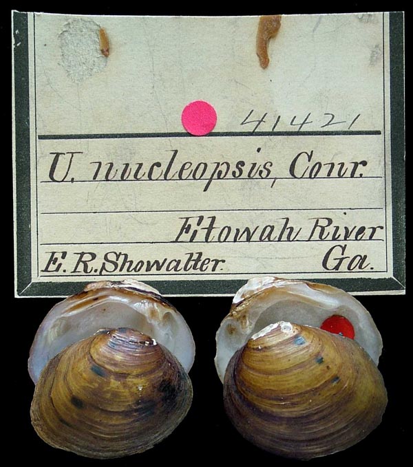 image of type lot image of type lot