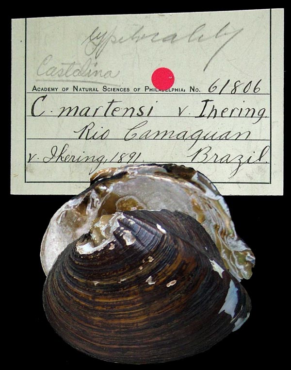 image of lot ANSP_61806