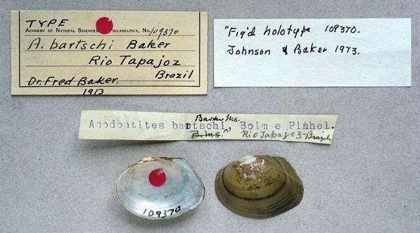 specimen
