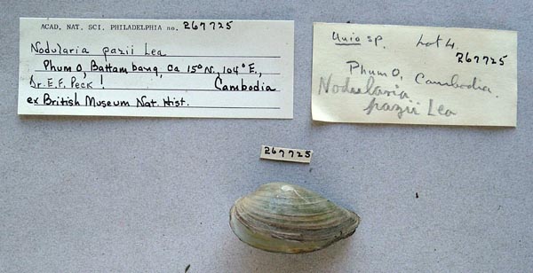 image of lot ANSP_267725