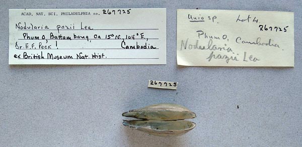 image of lot ANSP_267725