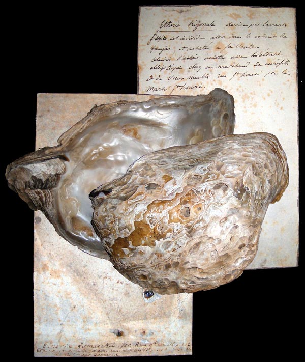 image of type lot image of type lot