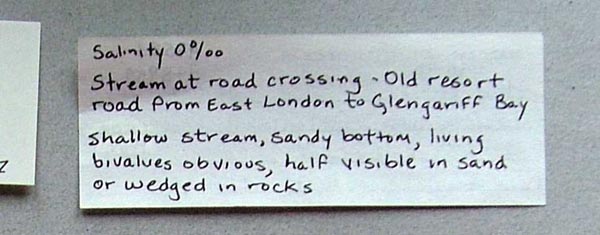 image of lot ANSP_48959