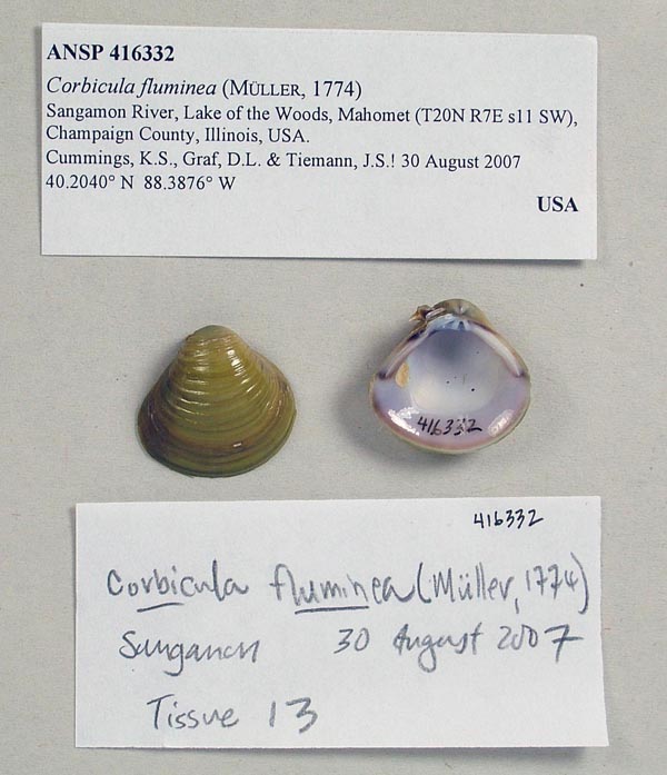 image of lot ANSP_416332