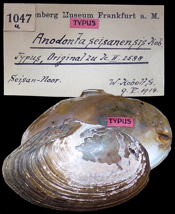 image of type lot image of type lot