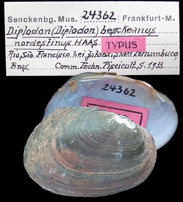 image of type lot