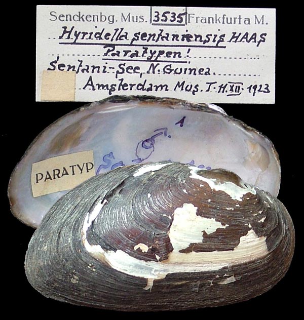 image of lot SMF_3535