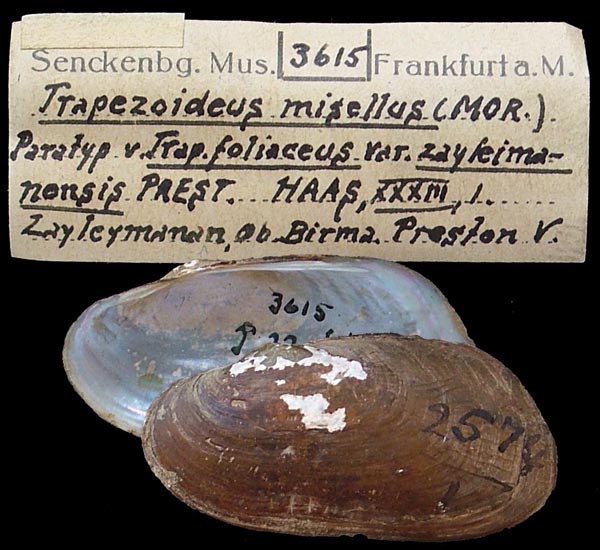 image of lot SMF_3615