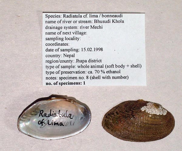 image of lot KON_MP_05