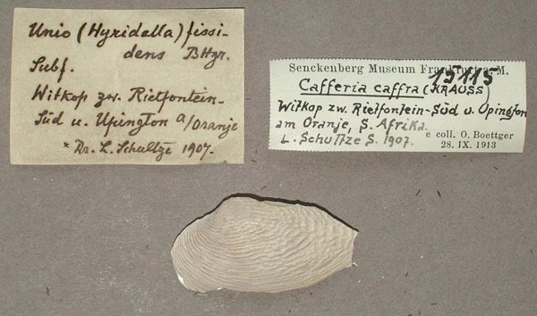 image of lot SMF_15115