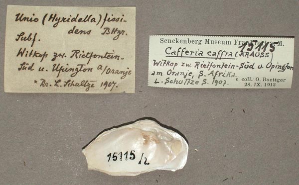 image of lot SMF_15115