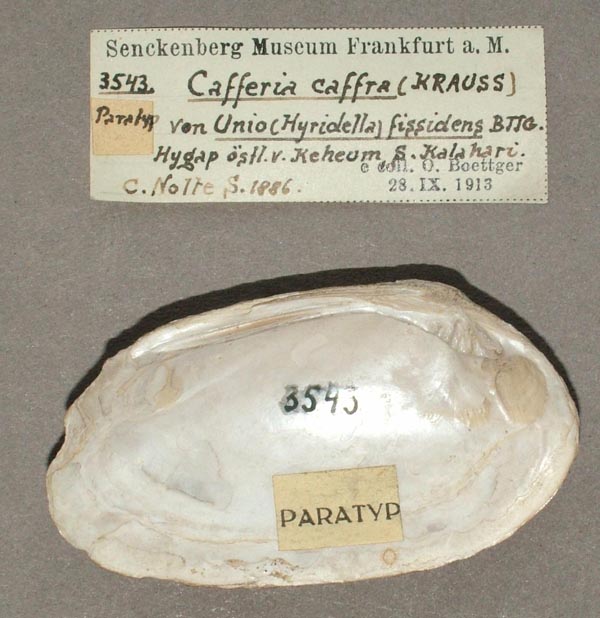 image of lot SMF_3543