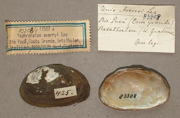 image of lot SMF_83308