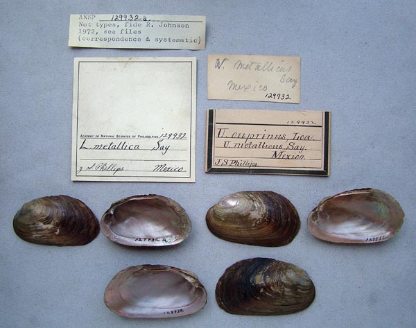 image of lot ANSP_129932