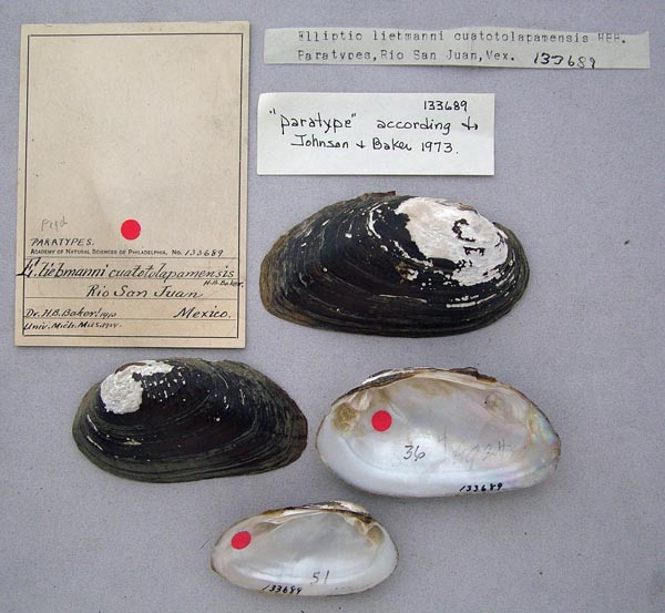 image of lot ANSP_13689