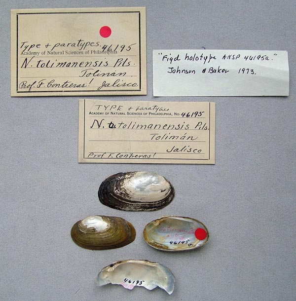 image of lot ANSP_46195