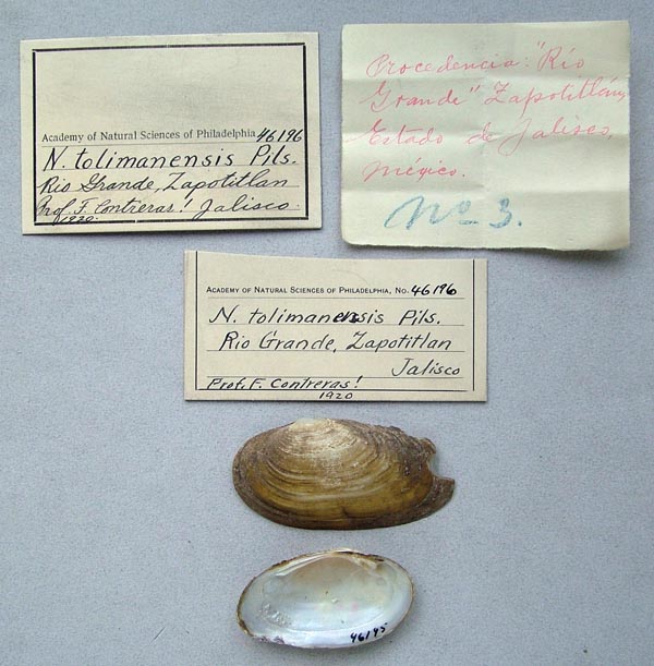 image of lot ANSP_46196