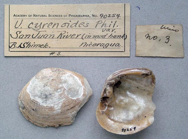 image of lot ANSP_90254