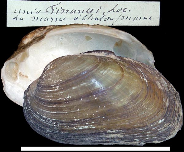 image of type lot image of type lot