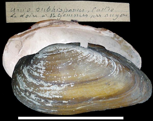 image of type lot image of type lot