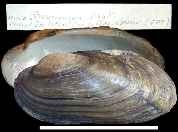 image of type lot image of type lot