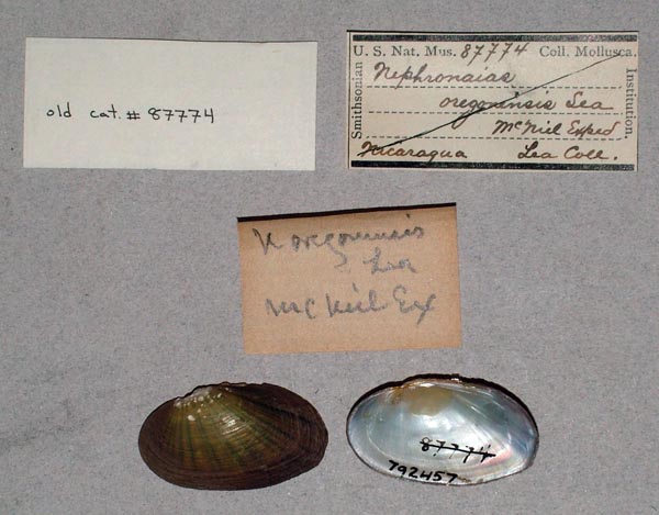 image of lot USNM_792457