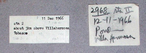 image of lot USNM_795617