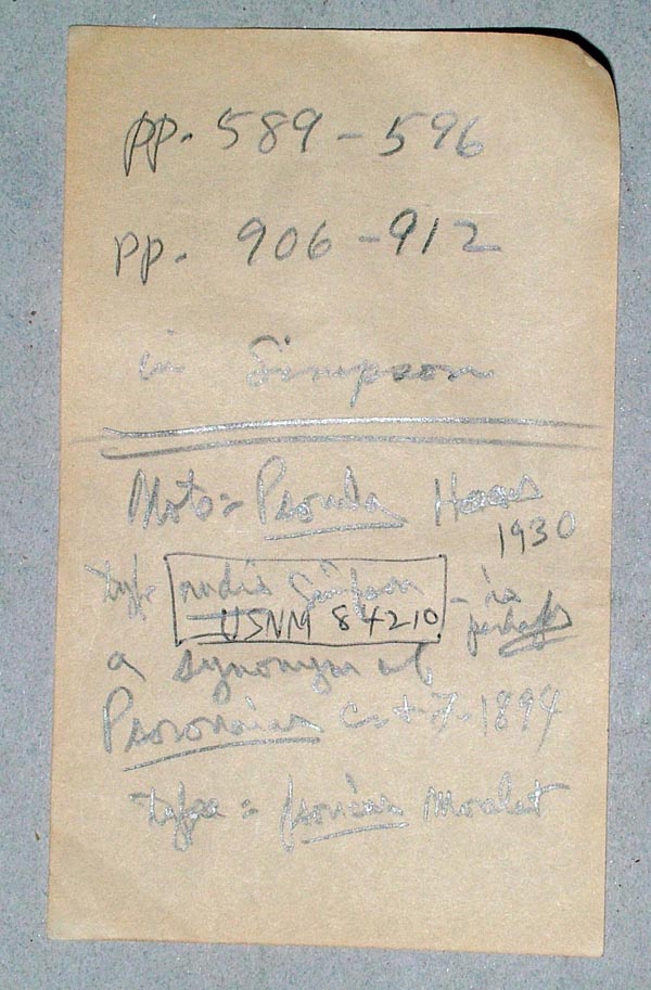 image of lot USNM_84210