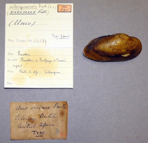 image of lot MRAC_56859