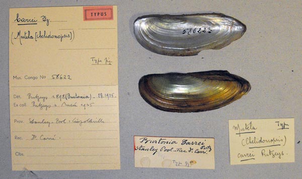 image of type lot image of type lot