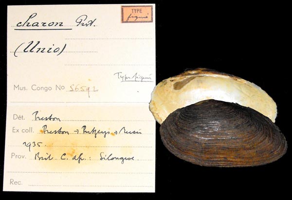 image of lot MRAC_56592