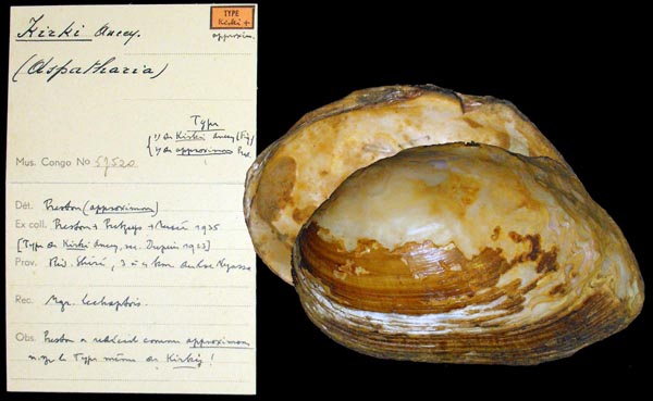 image of lot MRAC_57520