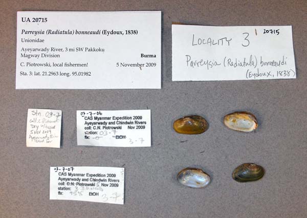 image of lot UA_20715