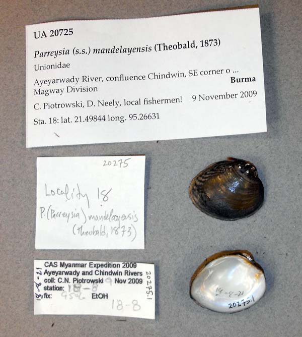 image of lot UA_20725