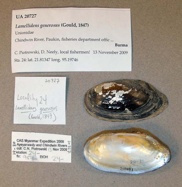 image of lot UA_20727