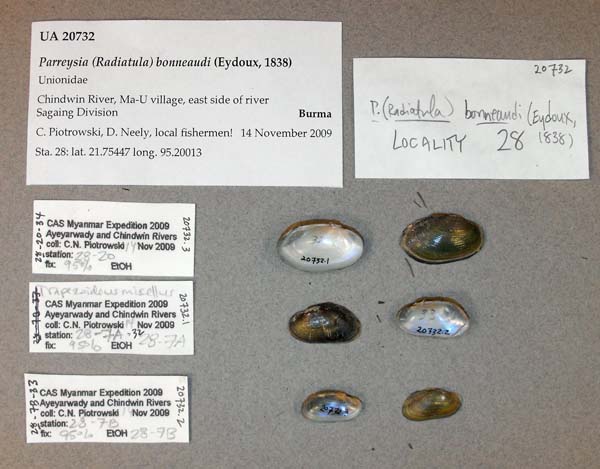 image of lot UA_20732