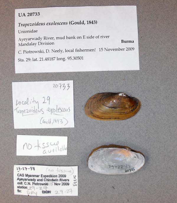 image of lot UA_20733