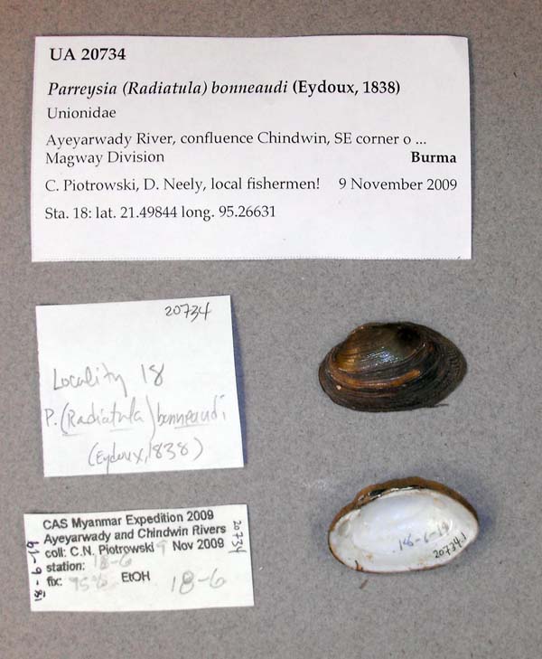 image of lot UA_20734