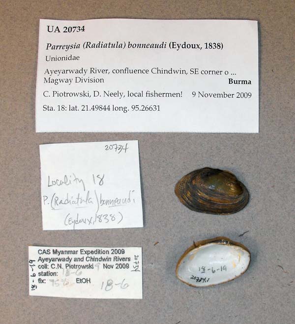 image of lot UA_20734