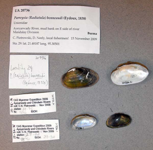 image of lot UA_20736