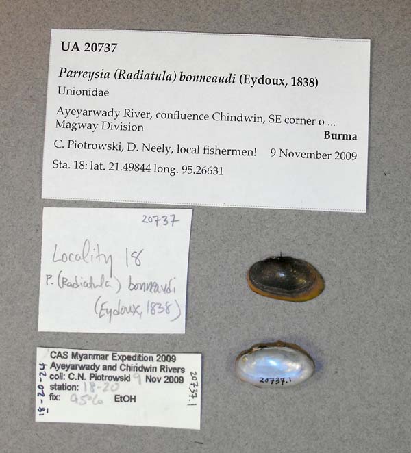 image of lot UA_20737