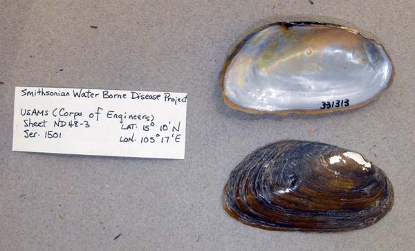 image of lot ANSP_331313