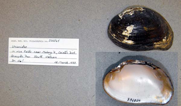 image of lot ANSP_336864